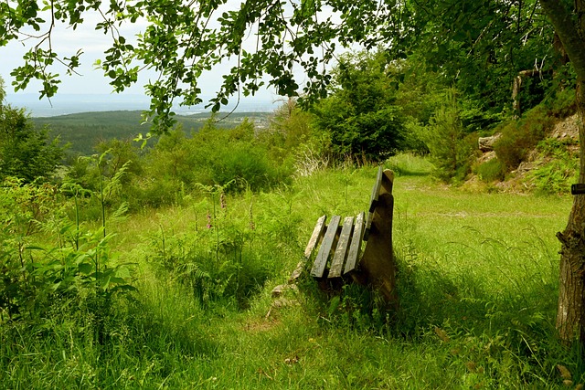 要依靠技战 要依靠技战