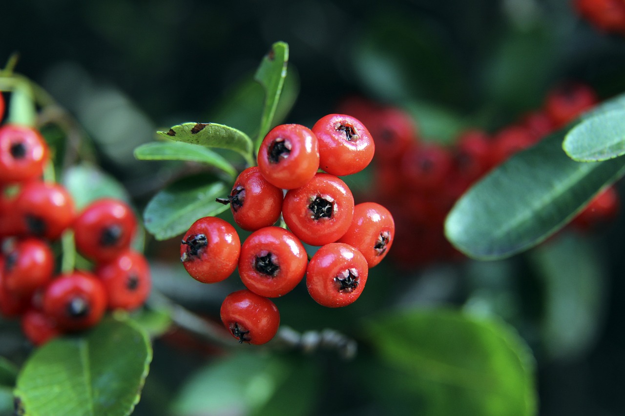 我们发现光 我们发现光