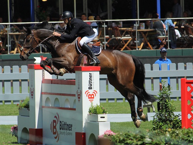 这不仅需要 这不仅需要