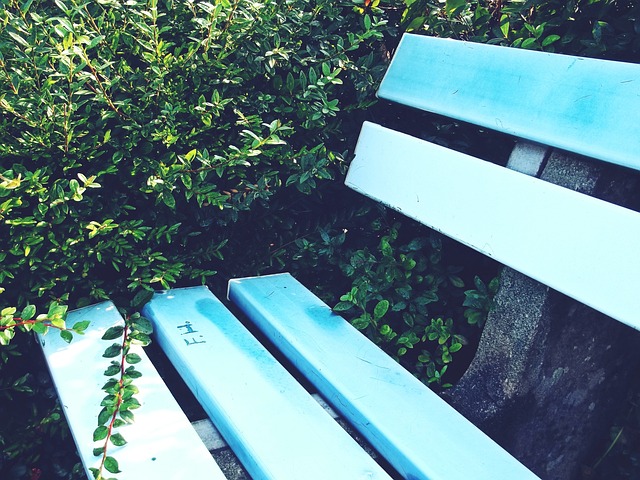 路上展現勃 路上展現勃